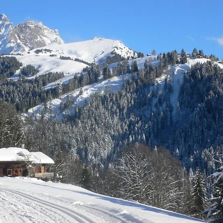 Gamat 27 By Interhome Villars-sur-Ollon